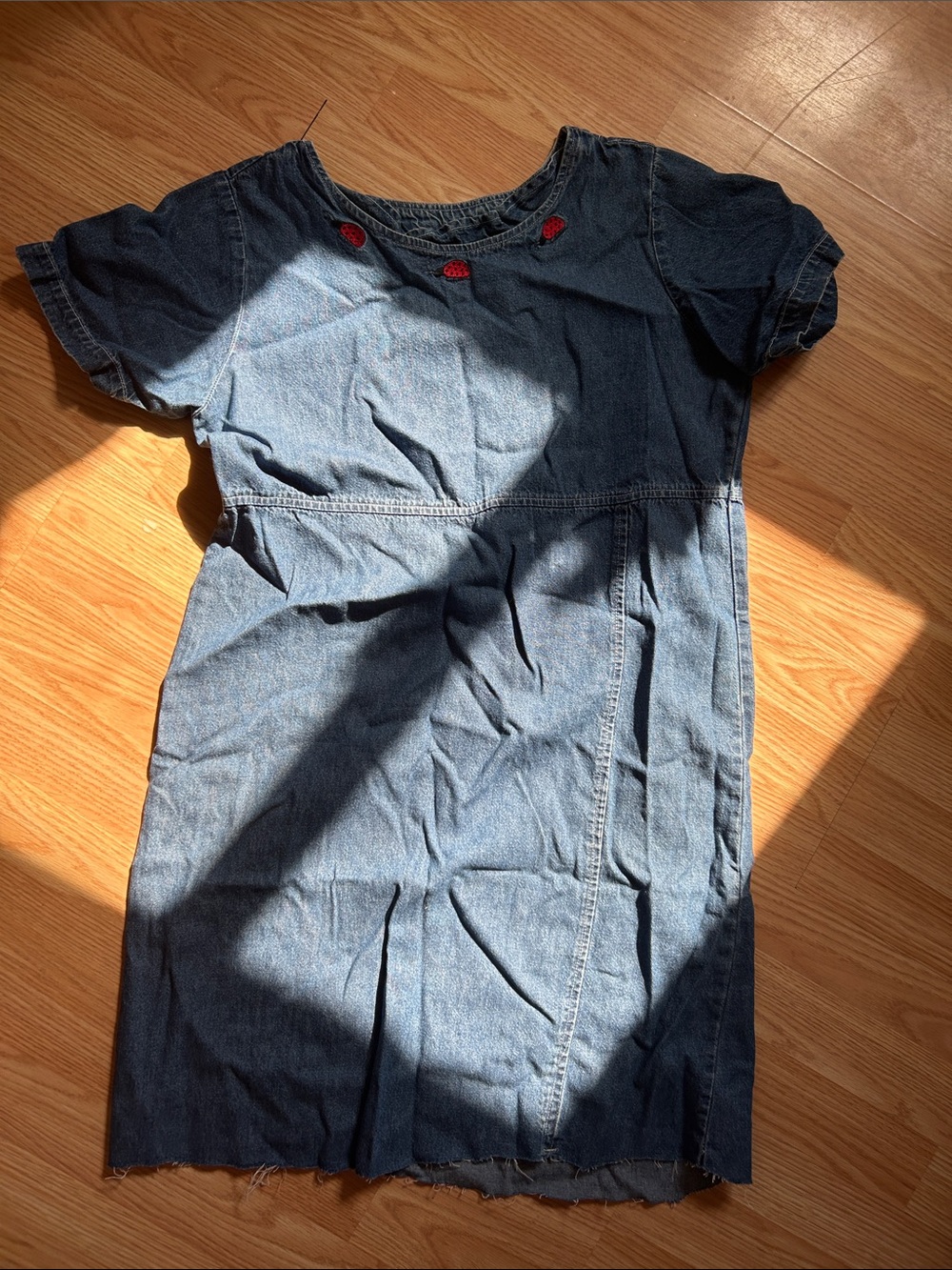Denim Dress with Ladybug Accent